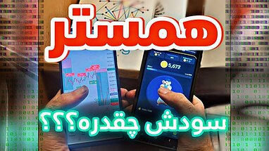 همستر کومبت چقدر سود میده؟