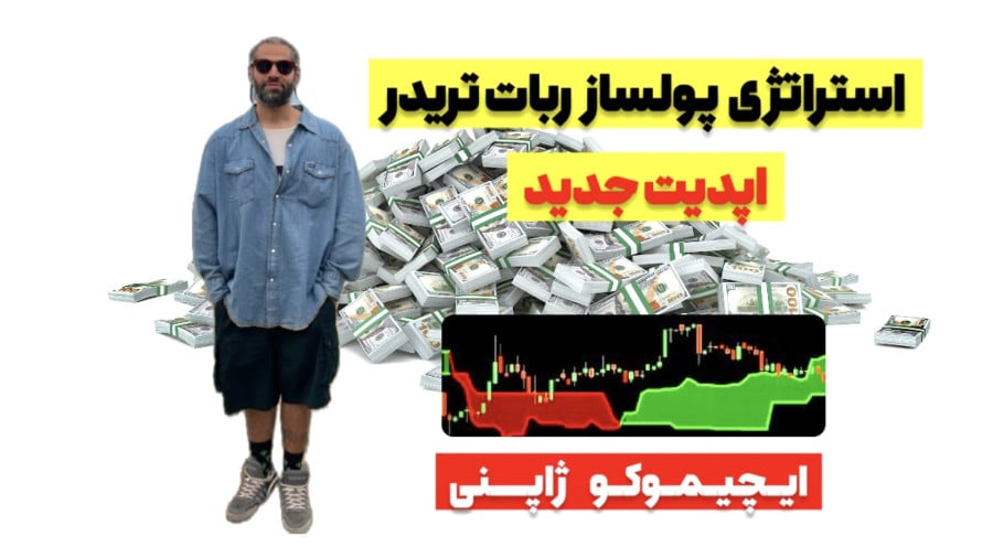 بررسی کامل ربات ایچی موکو ژاپنی