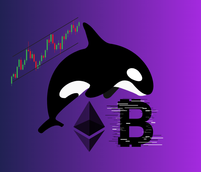 نهنگ افسانه ای بیت کوین و اتریوم